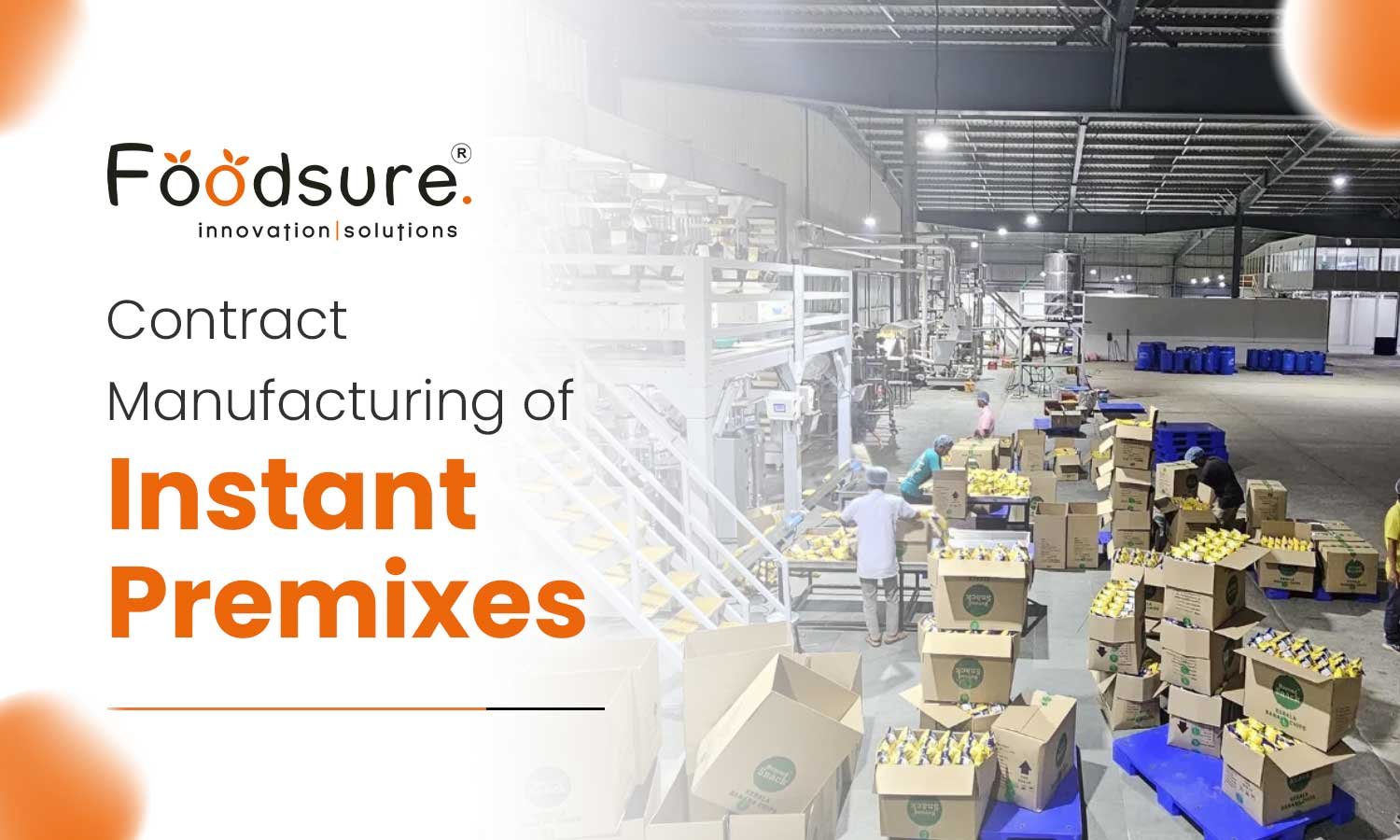 Contract Manufacturing Of Instant Premixes