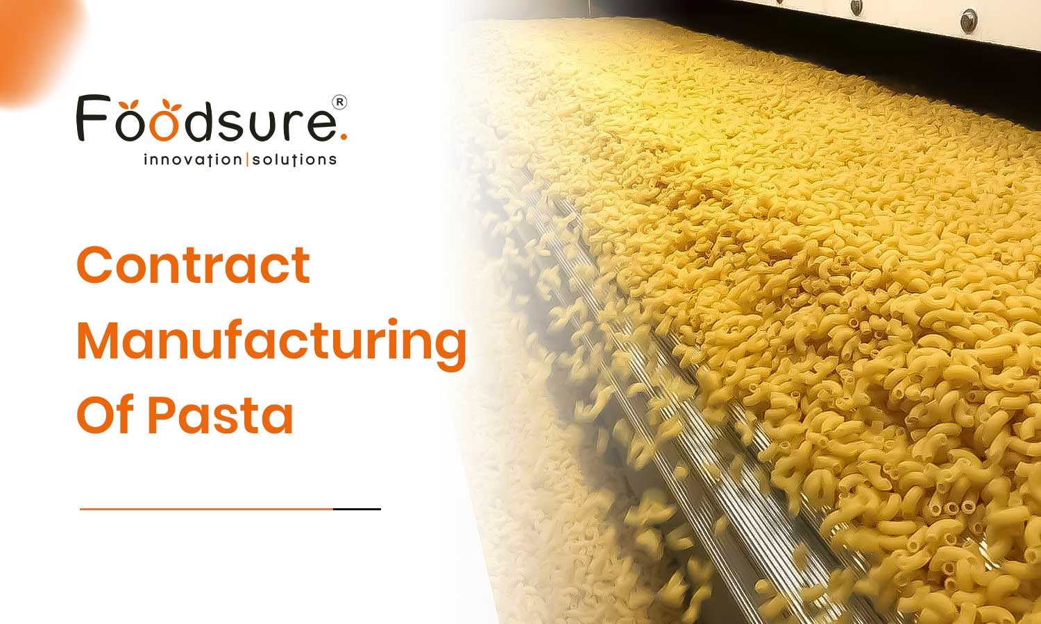 Contract Manufacturing Of Pasta