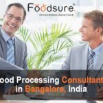 Professional Food Processing Consultant In Bangalore, India