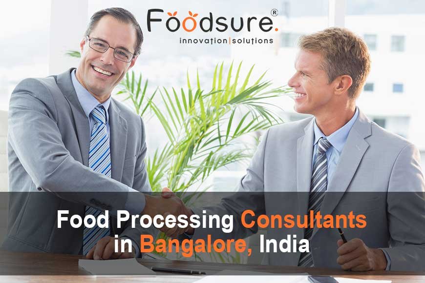 Professional Food Processing Consultant in Bangalore, India