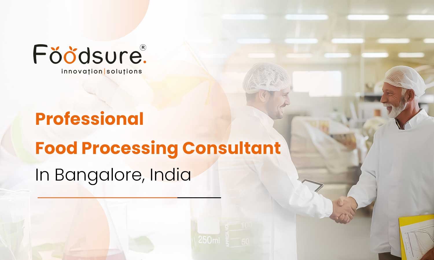 Professional Food Processing Consultant In Bangalore, India