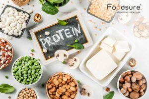 Protein Based Food Product