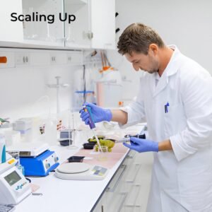 Scaling Up