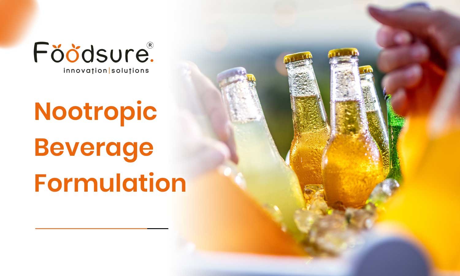 Nootropic Beverage Formulation