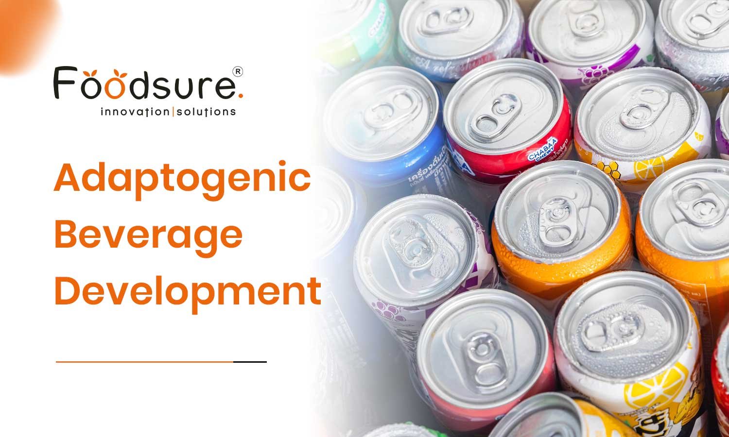 Adaptogenic Beverage Development