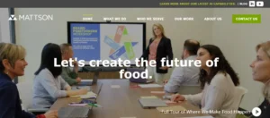 Mattson- New Food Product Development