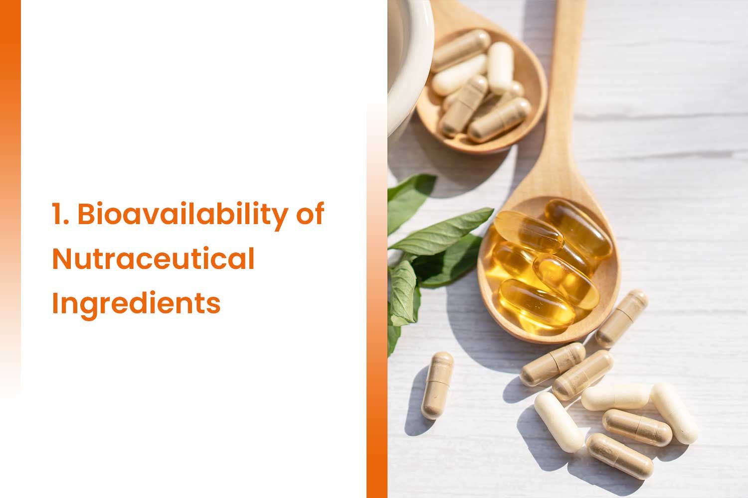 1. Bioavailability of Nutraceutical Ingredients