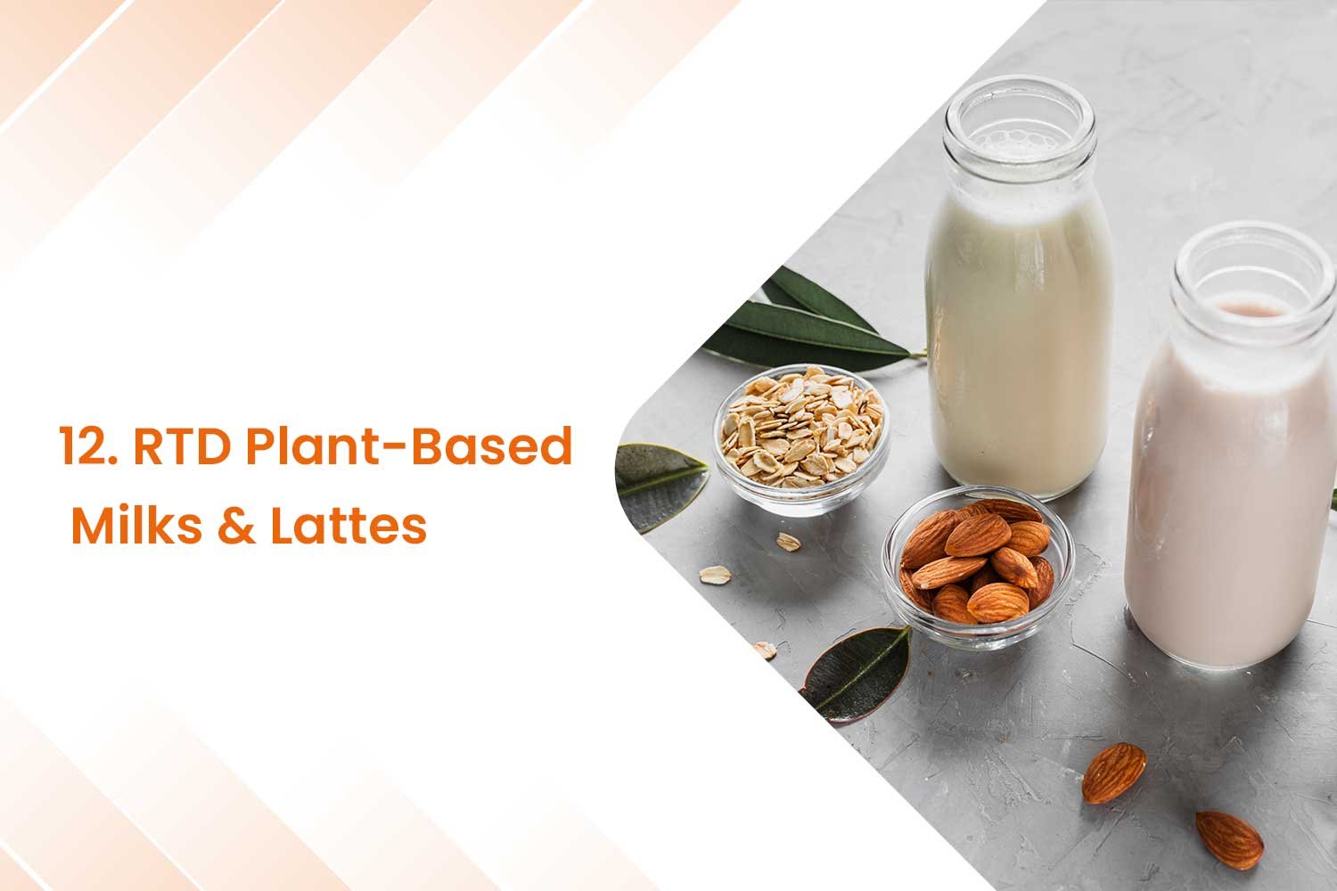 12. RTD Plant Based Milks Lattes