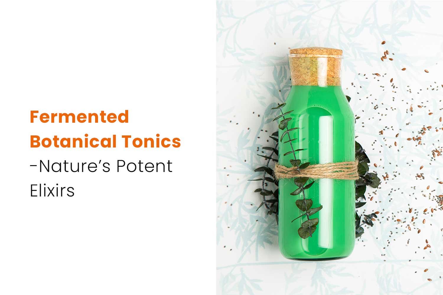 Top Fermented and Probiotic Drinks Trends for Gut Health 2025 6 Fermented Botanical Tonics- Nature’s Potent Elixirs