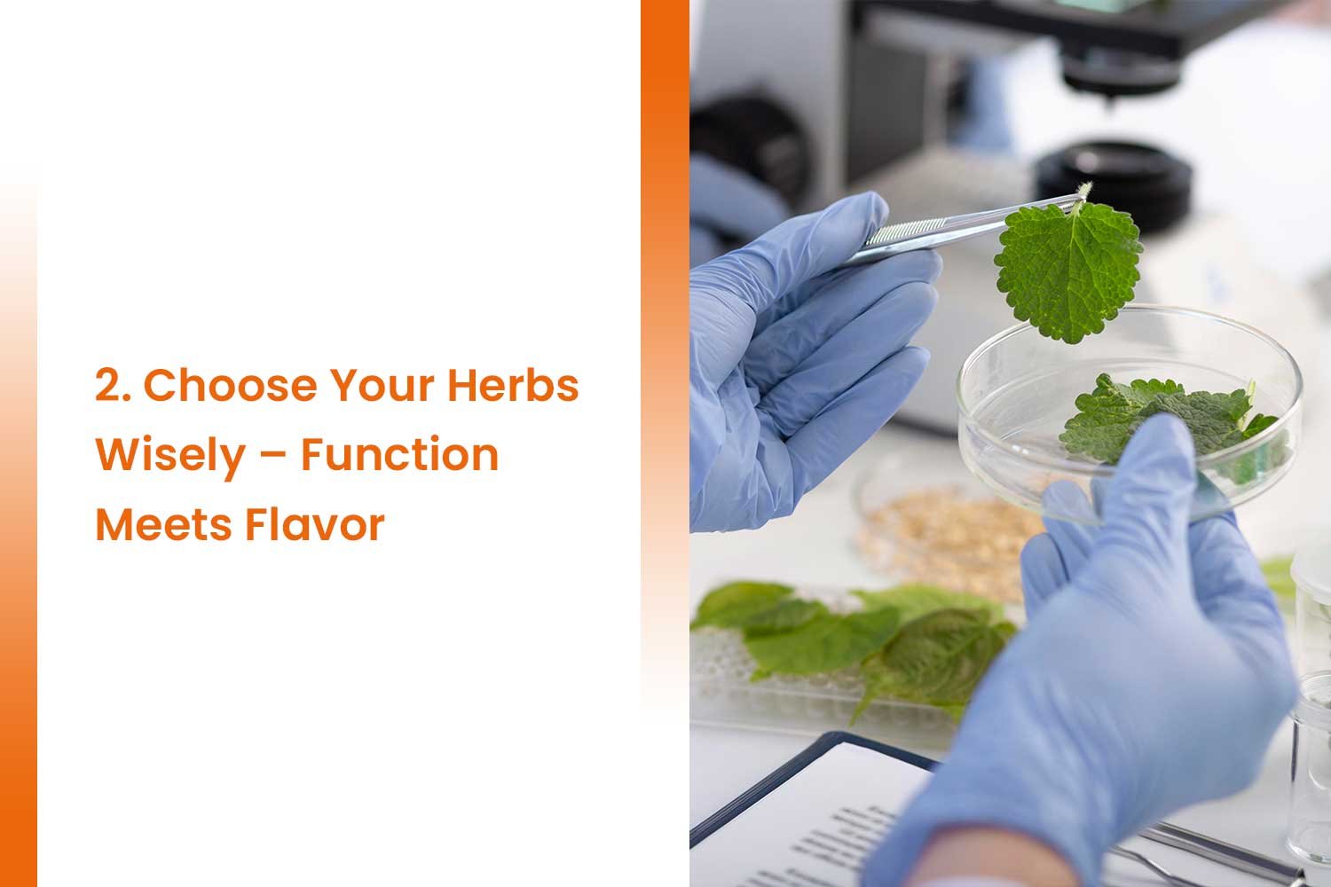 Everything You Need to Know Before Launching a Herbal Energy Drink 3 Function Meets Flavor