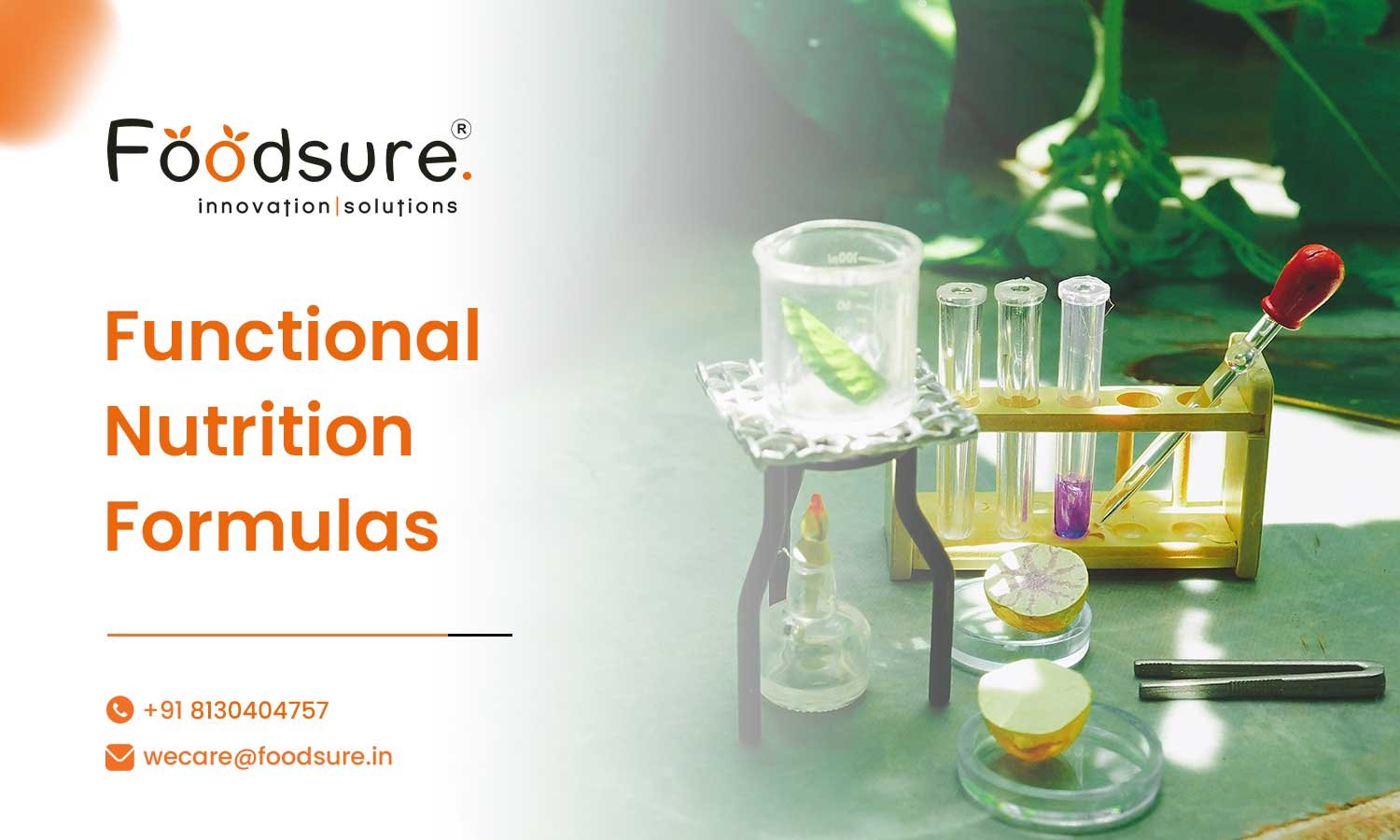 Functional Nutrition Formulas
