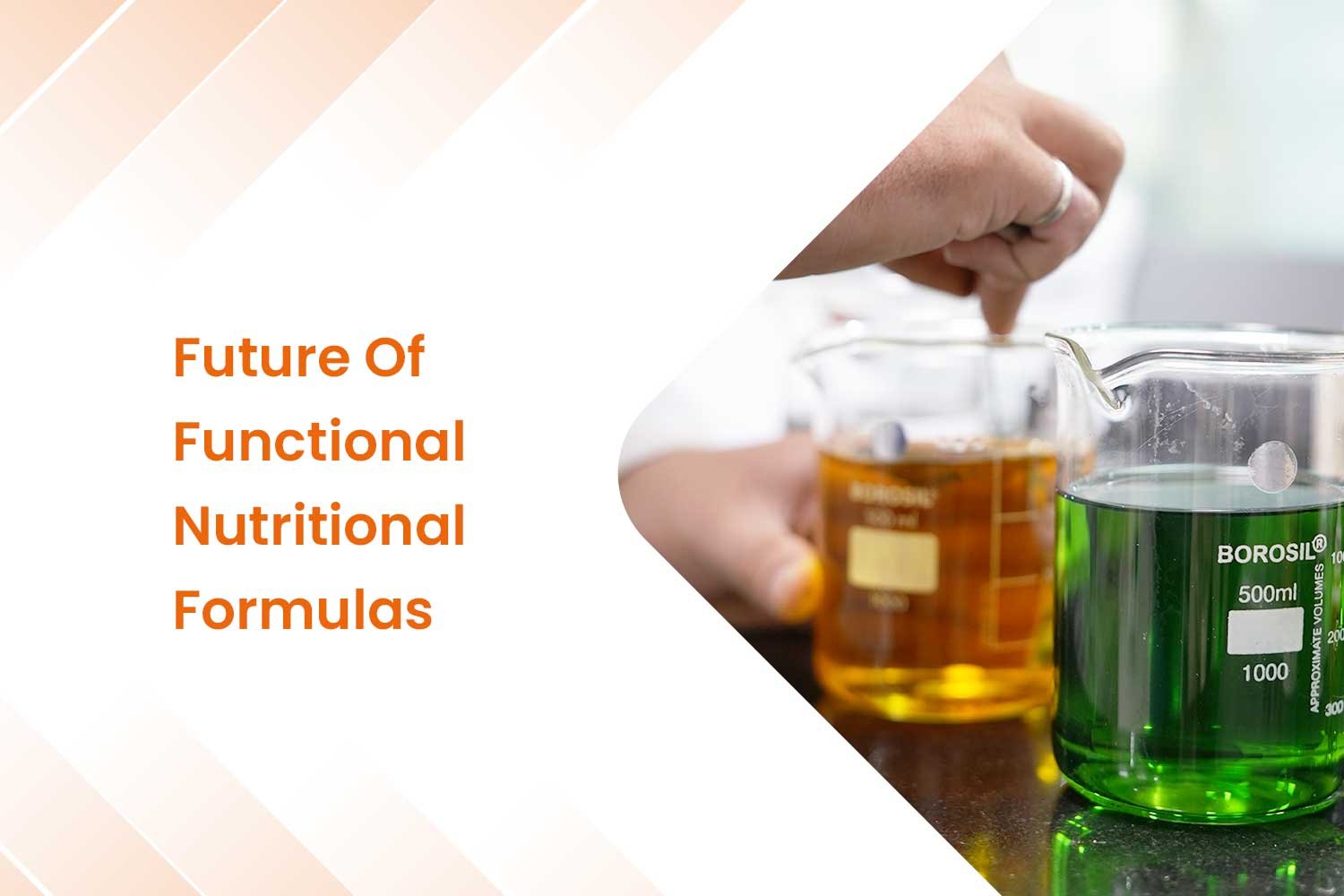 Future Of Functional Nutritional Formulas