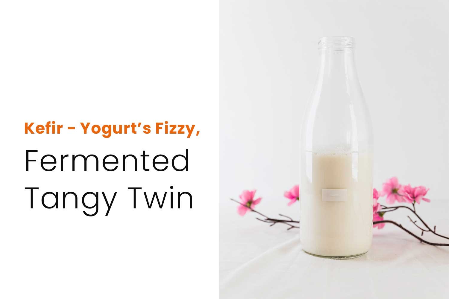 Top Fermented and Probiotic Drinks Trends for Gut Health 2025 2 Kefir - Yogurt’s Fizzy, Fermented Tangy Twin