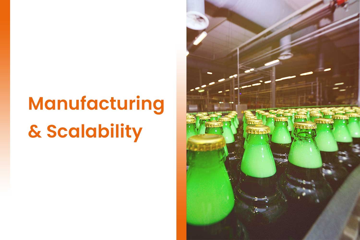Future of Plant-Based and Low-Sugar Drinks in India 2025 4 Manufacturing & Scalability