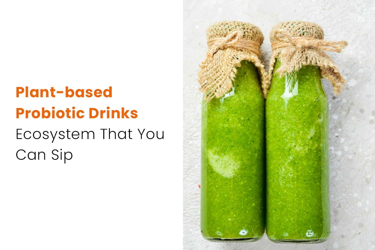 Top Fermented and Probiotic Drinks Trends for Gut Health 2025 10 Plant-based Probiotic Drinks- Ecosystem That You Can Sip