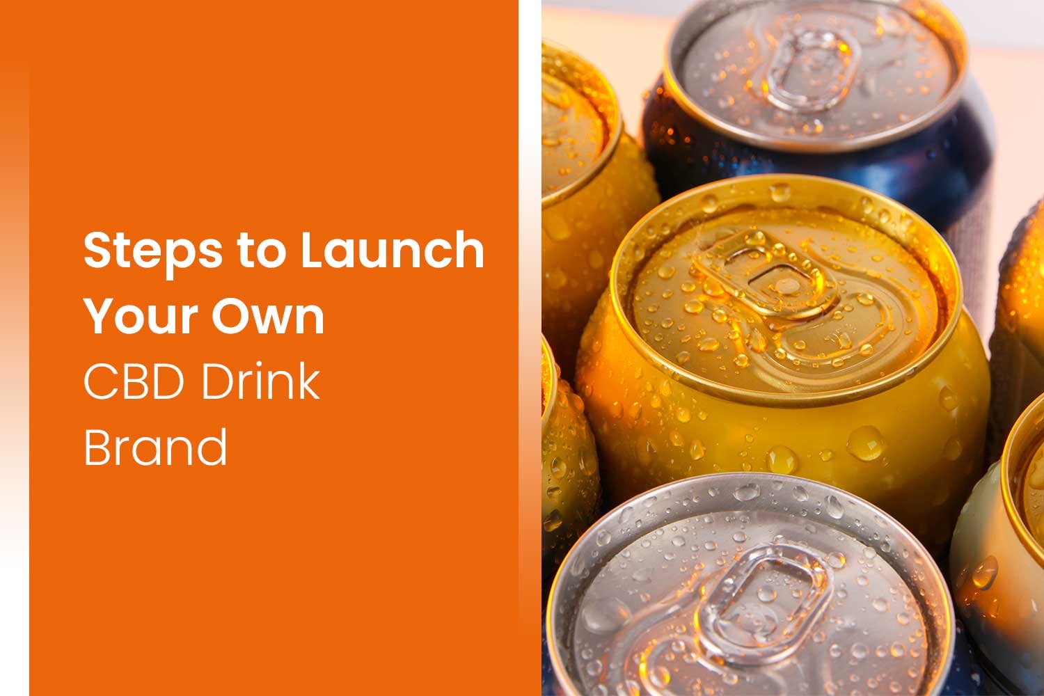Steps to Launch Your Own CBD Drink Brand