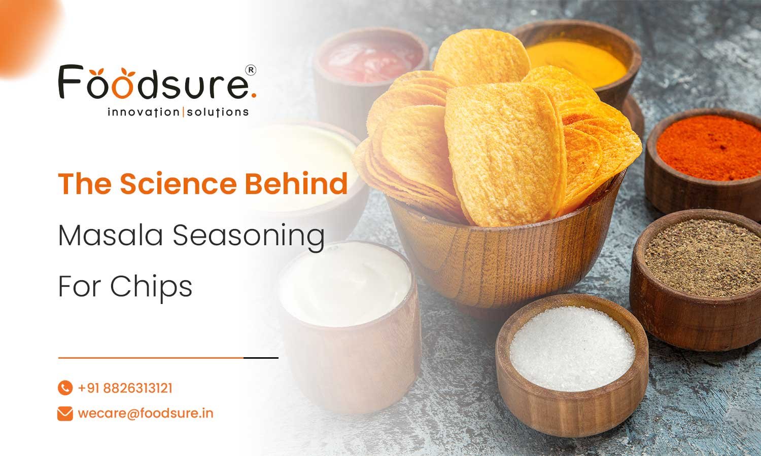 Masala Seasoning For Chips