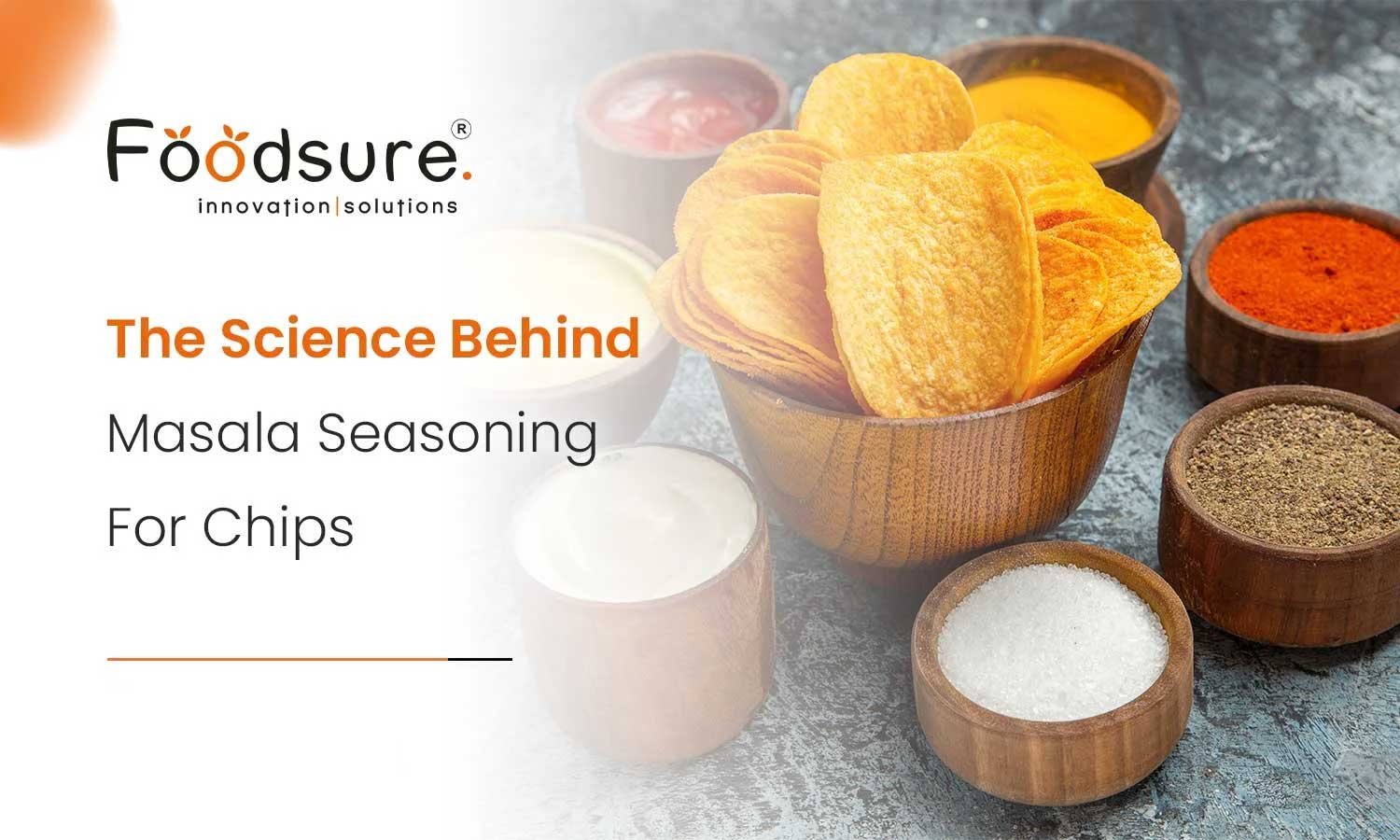 Masala Seasoning for Chips