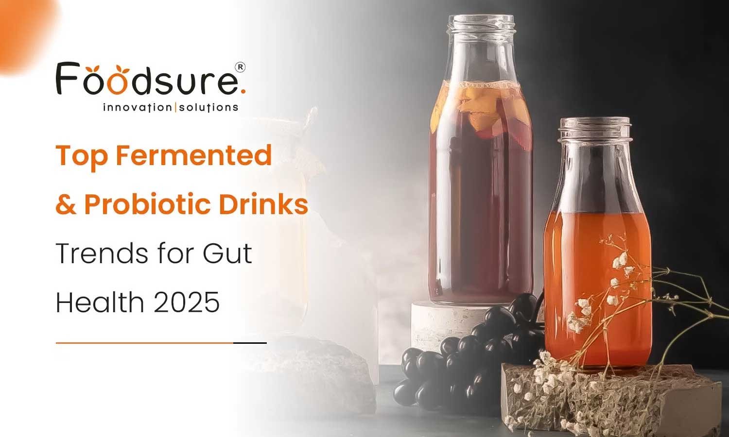 Fermented and Probiotic Drinks