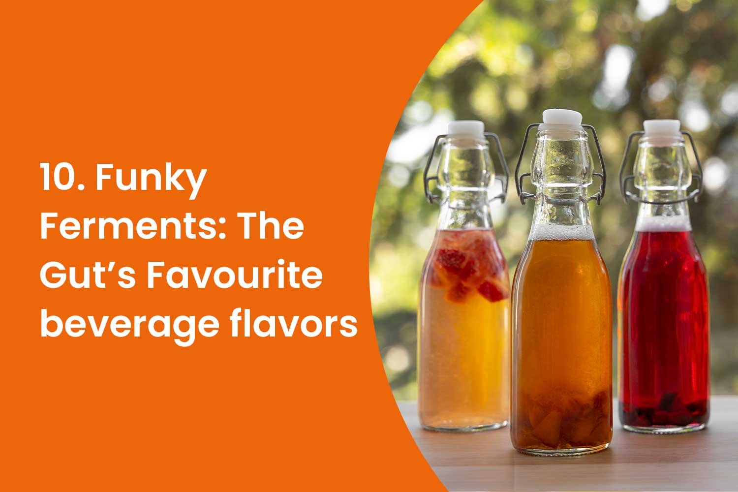 10. Funky Ferments The Guts Favourite beverage flavors