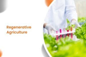 Regenerative Agriculture