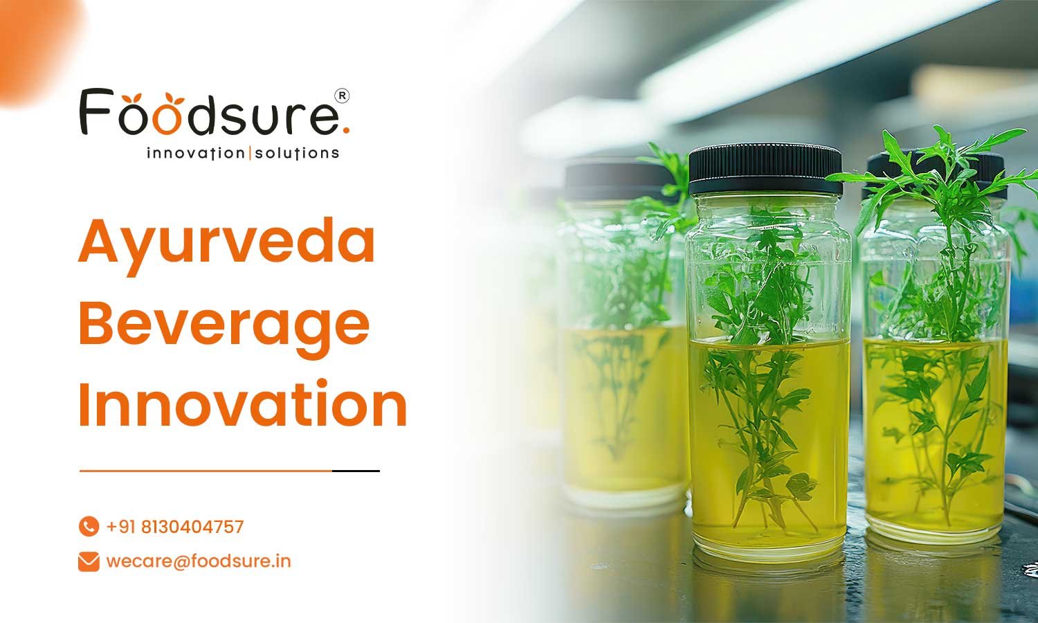 Ayurveda Beverage Innovation