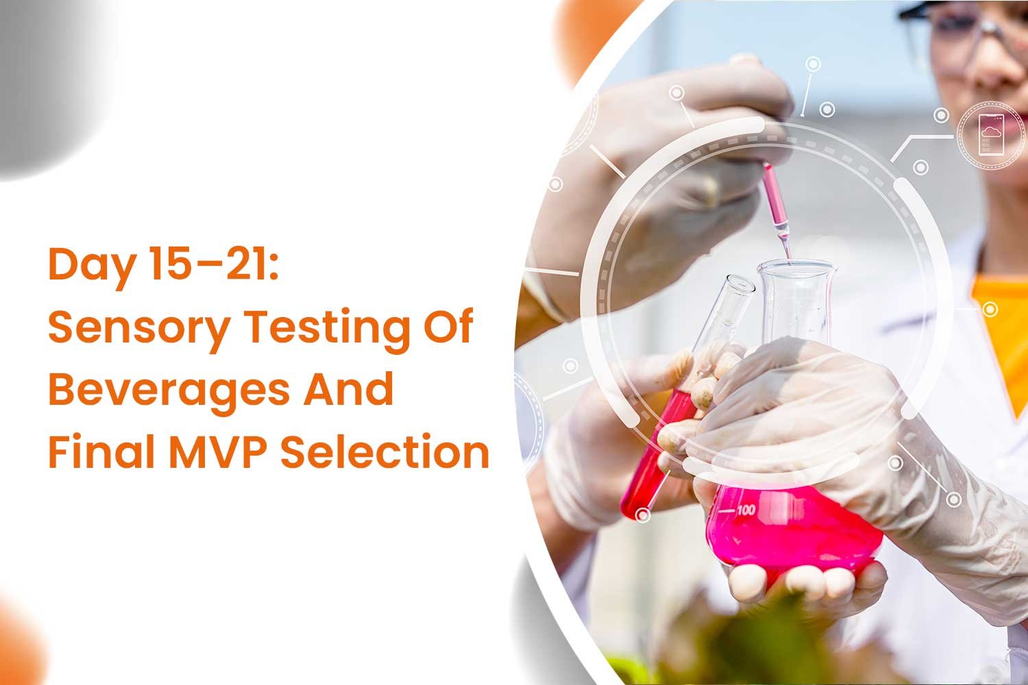 Day 15–21 Sensory Testing Of Beverages And Final MVP Selection