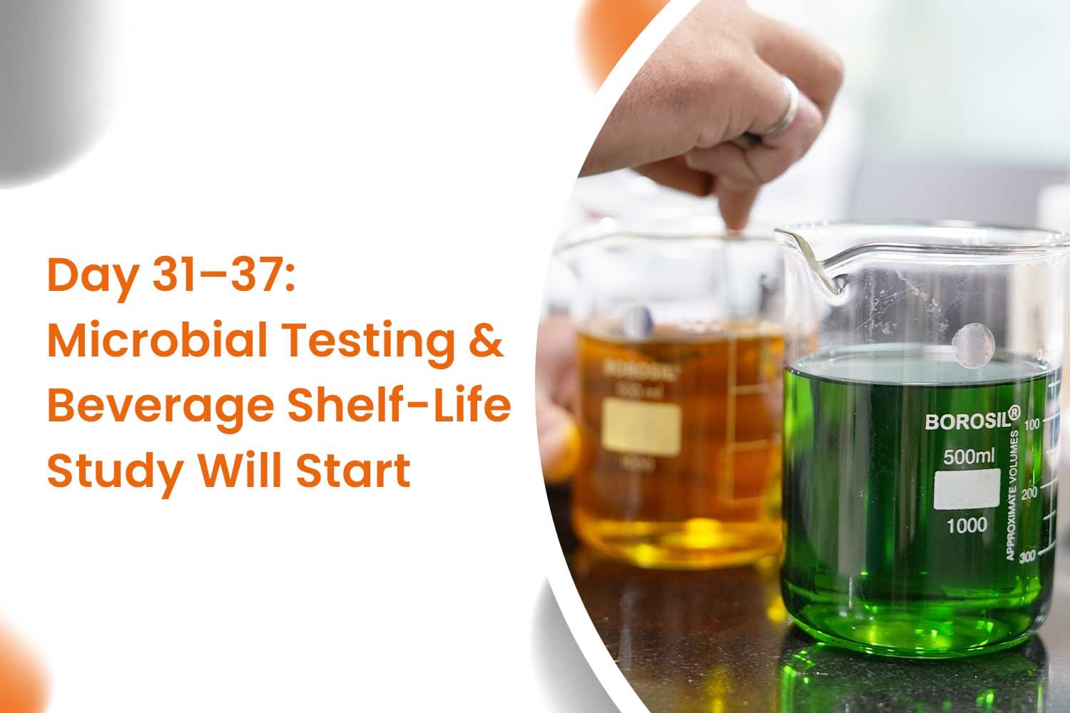 Day 31–37 Microbial Testing & Beverage Shelf-Life Study Will Start