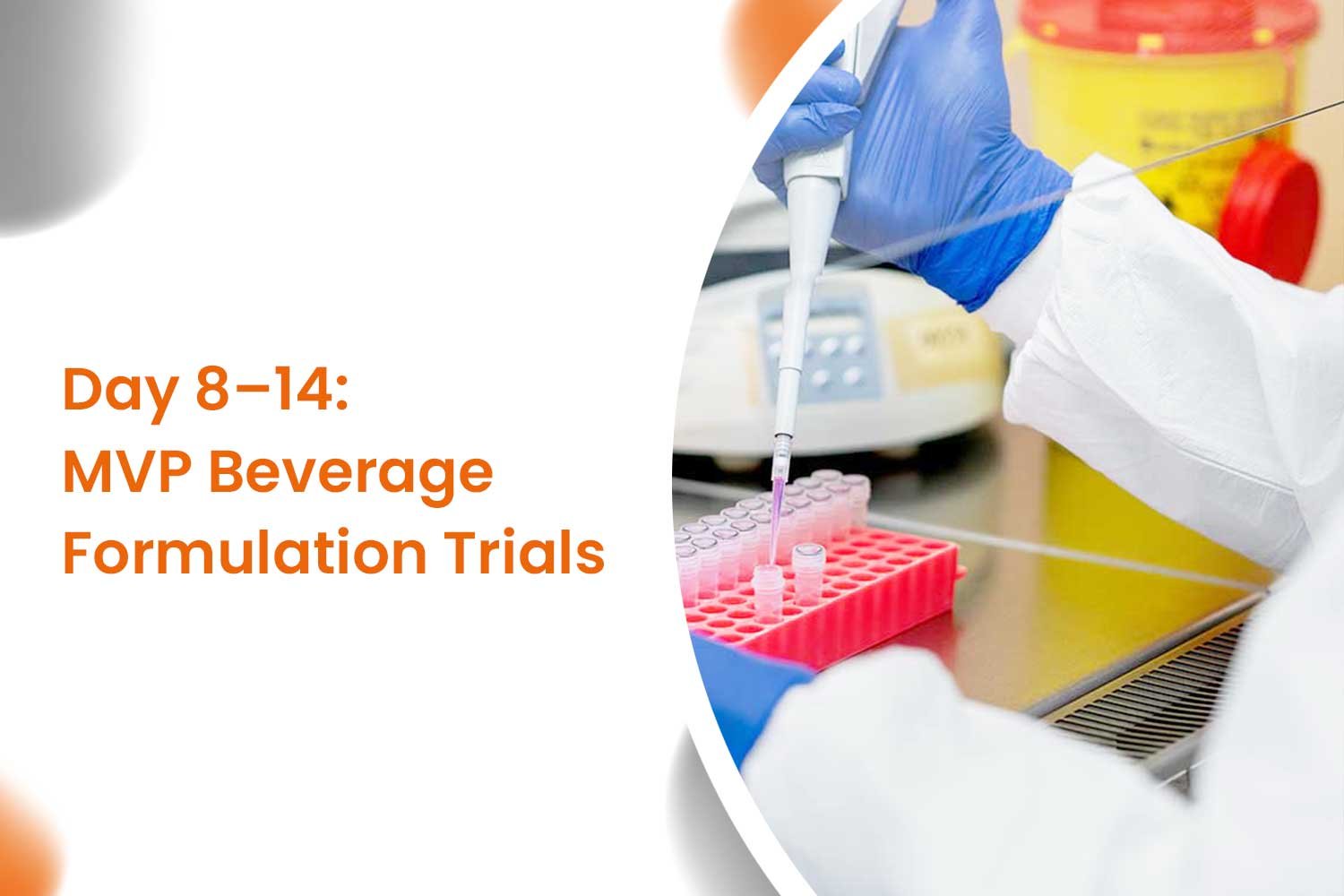 Day 8–14 MVP Beverage Formulation Trials