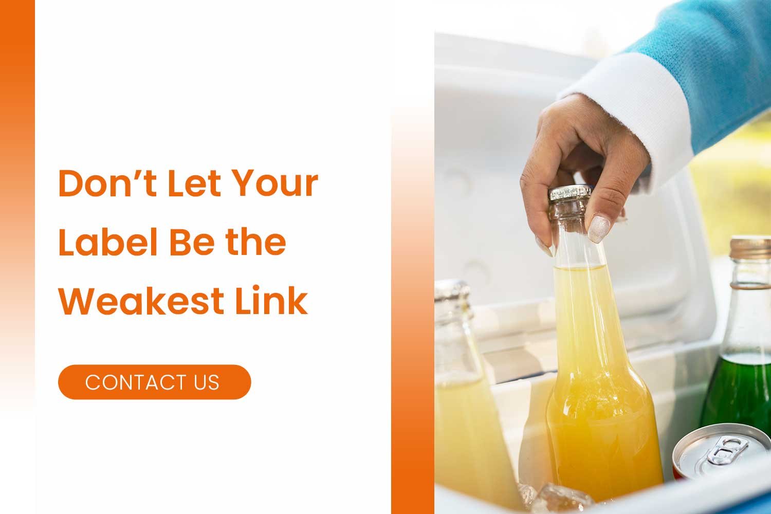 Dont Let Your Label Be the Weakest Link