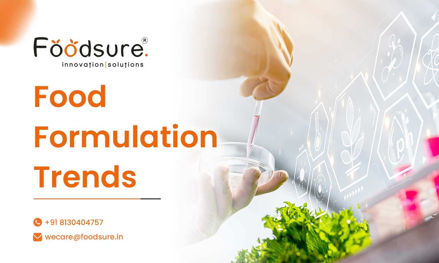Food Formulation Trends