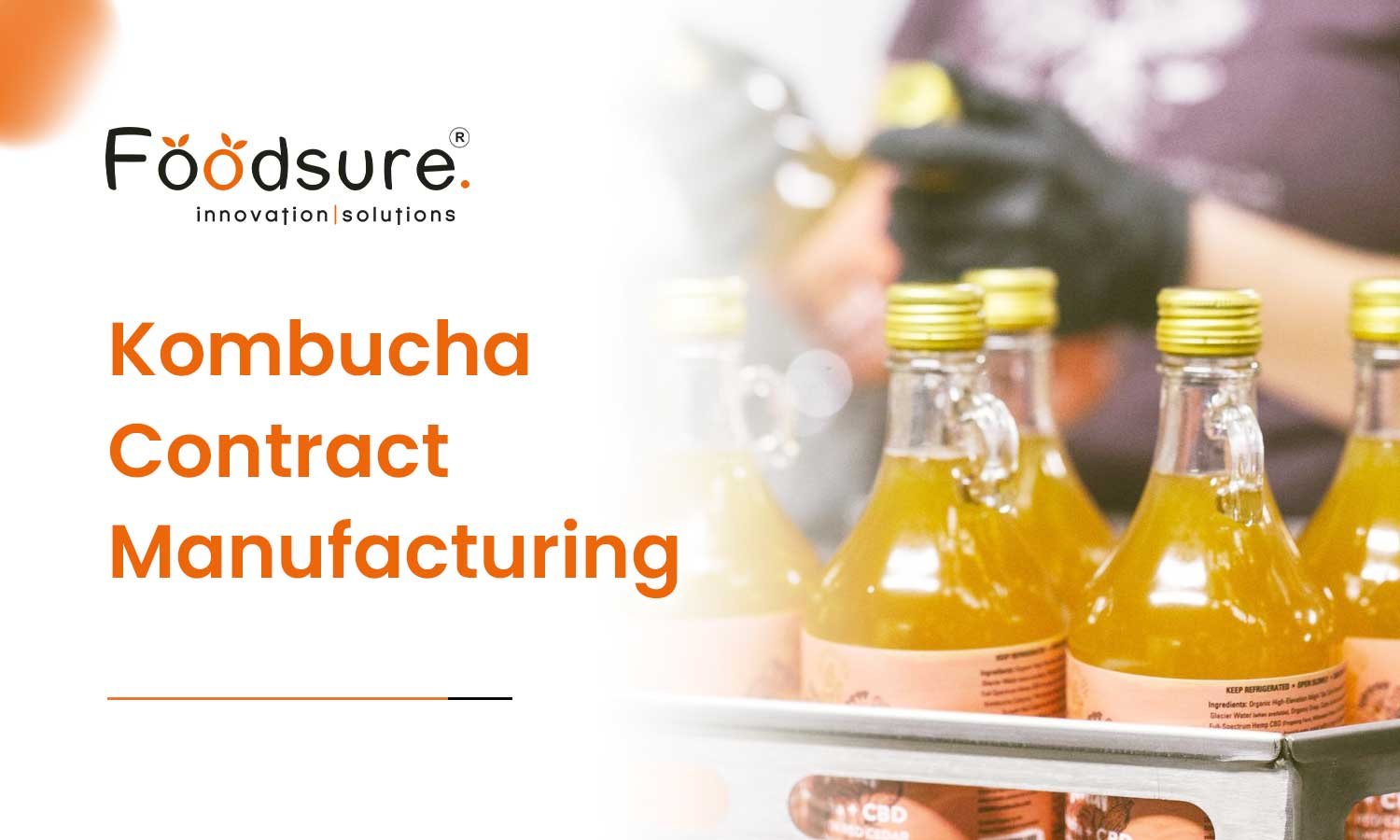 Kombucha Contract Manufacturing For India’s Health Market