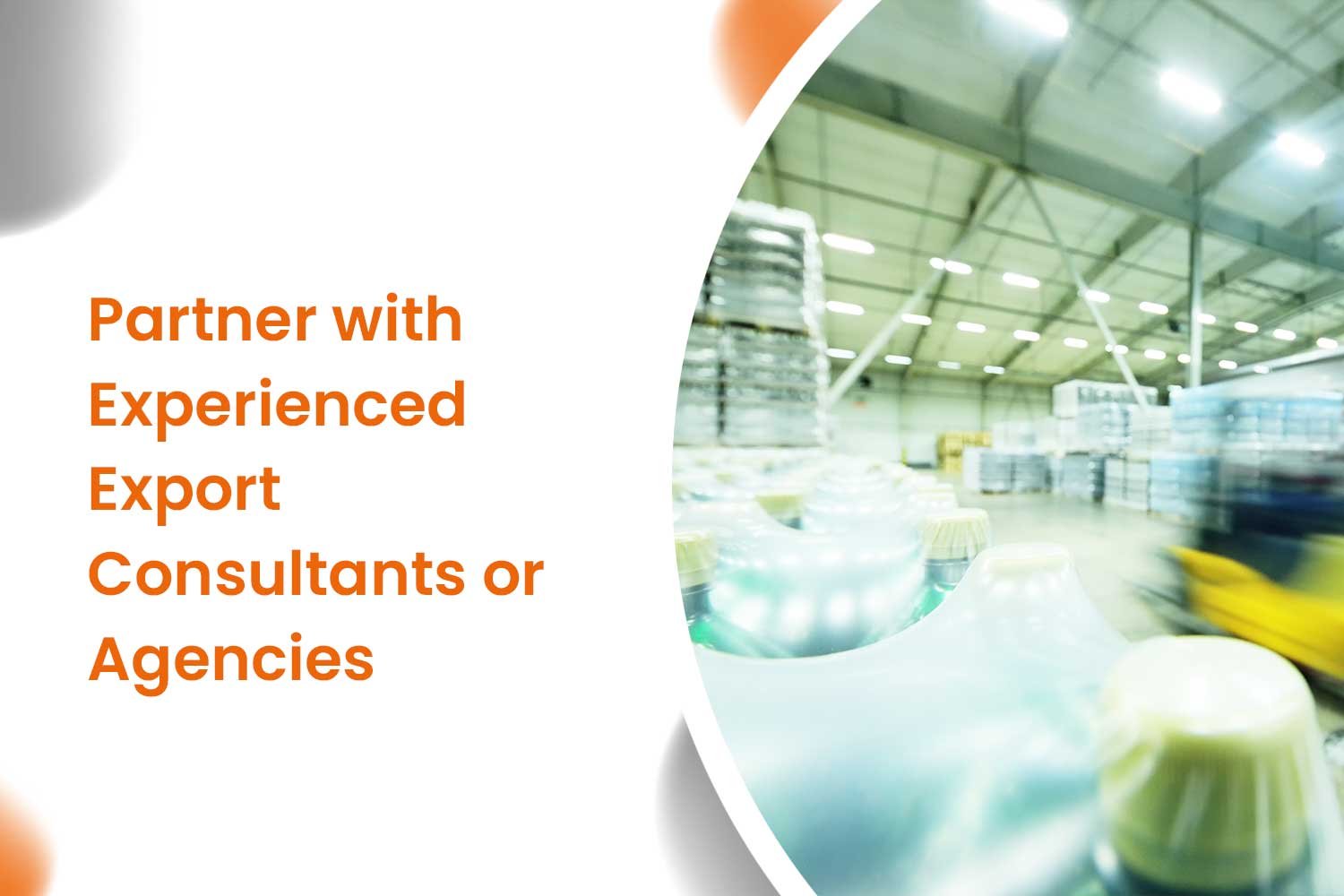 Partner with Experienced Export Consultants or Agencie