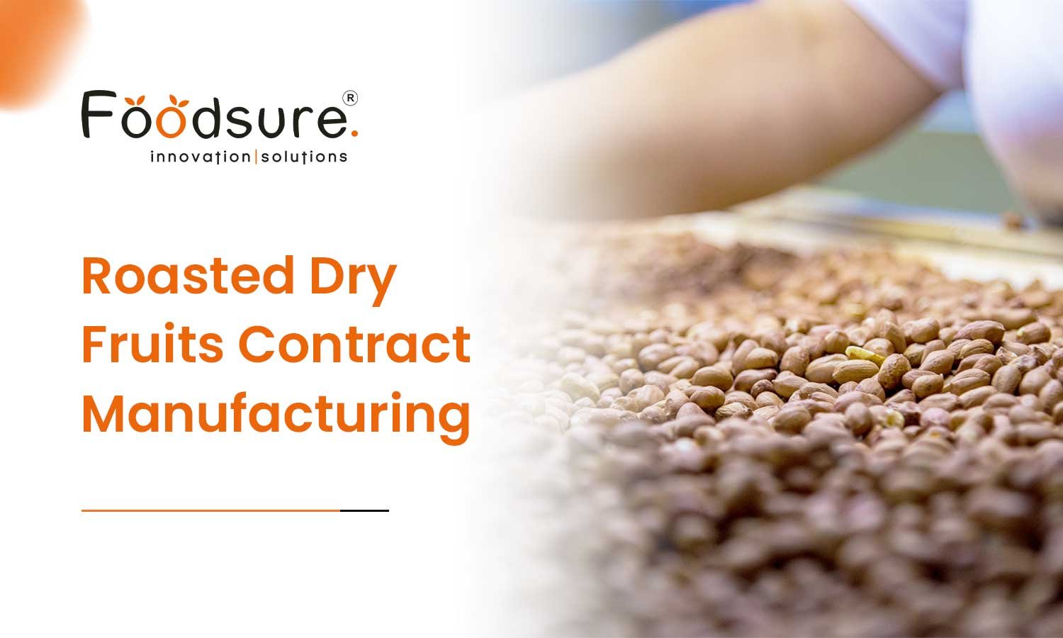 Roasted Dry Fruits Contract Manufacturing in India