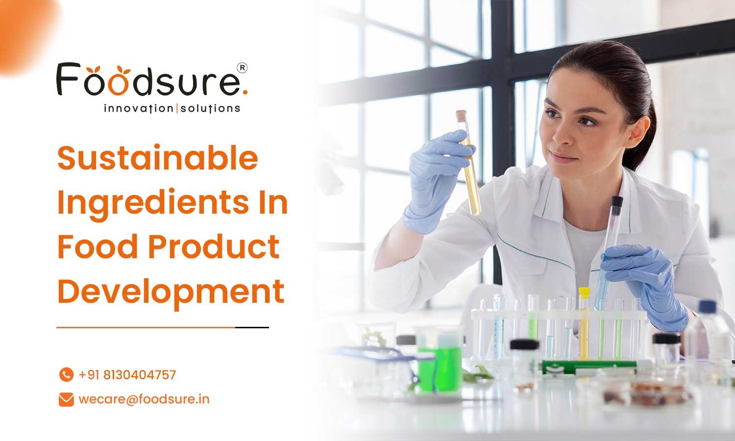 Sustainable Ingredients In Food Product Development