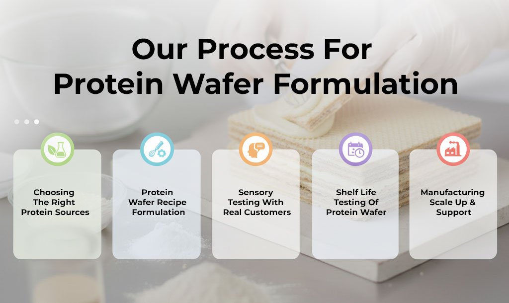 Our Process For Protein Wafer Formulation