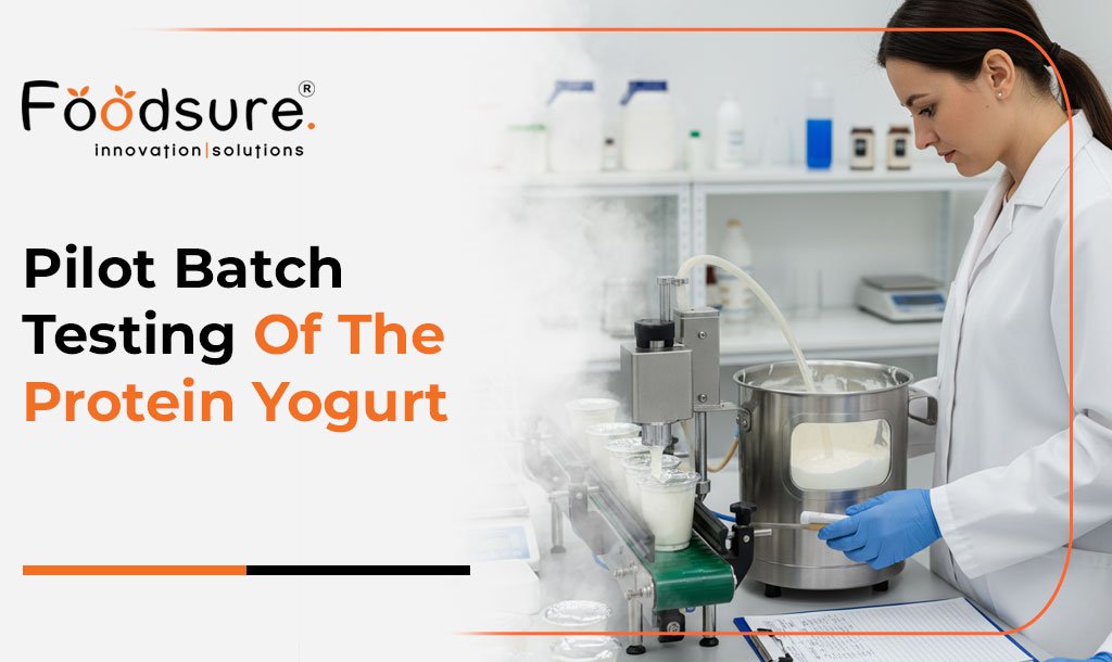 Pilot Batch Testing Of The Protein Yogurt