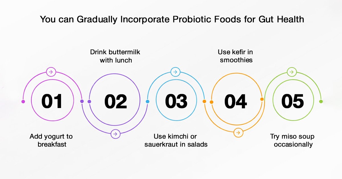 Probiotic Foods in India: Types, Benefits & Development Process 3 How to Add Probiotic Foods to Your Diet.jpg