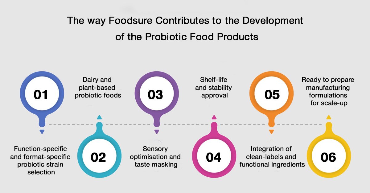 Probiotic Foods Recipe Development 2 Probiotic Food Formulation