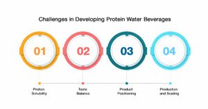 Challenges in Developing Protein Water Beverages