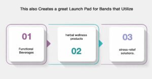 Ashwagandha Energy Drinks: The Next Generation Ayurvedic Energy Drink in India 2 Market Opportunity for Ayurvedic Energy Drinks