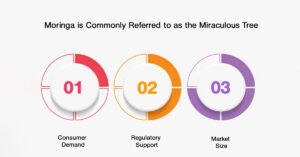 Moringa Product Development in India 1 Why Moringa Product Development is Gaining Momentum.jpg