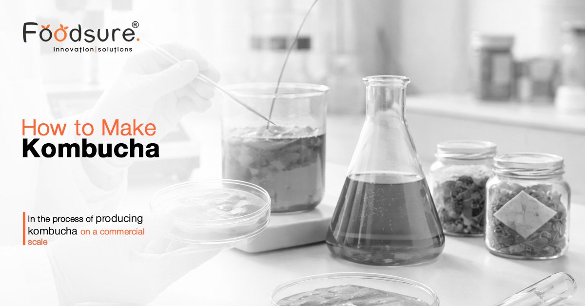 How to Make Kombucha