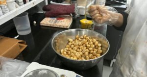 Science Backed Longevity Foods Common in Indian Cuisine.jpg