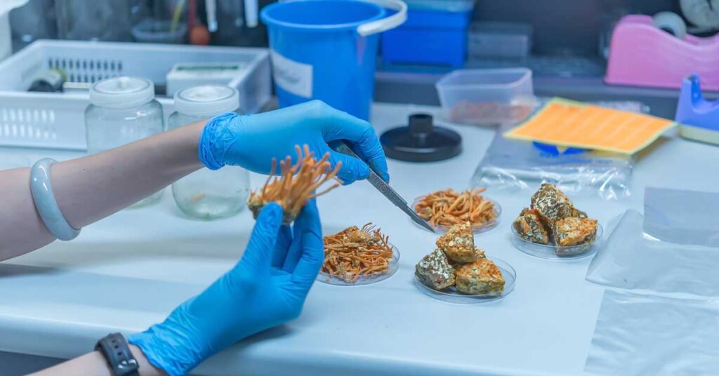 snack manufacturing india