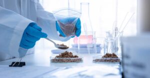 protein namkeen formulation