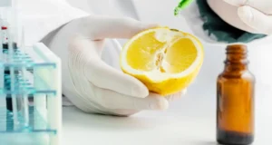Yuzu Beverage Formulation: Premium Citrus for Functional Drinks 1 Yuzu Beverage Formulation